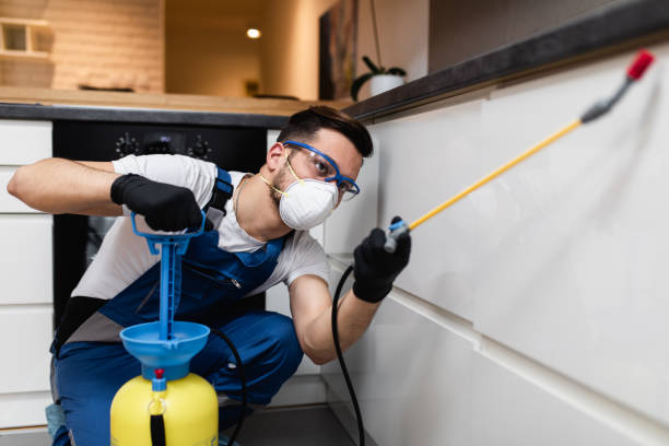 Best Pest Inspection Near Me  in Decordova, TX
