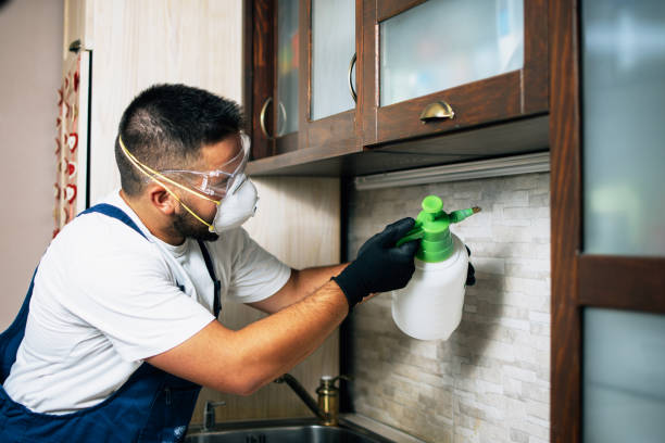 Best Best Pest Control Companies  in Decordova, TX