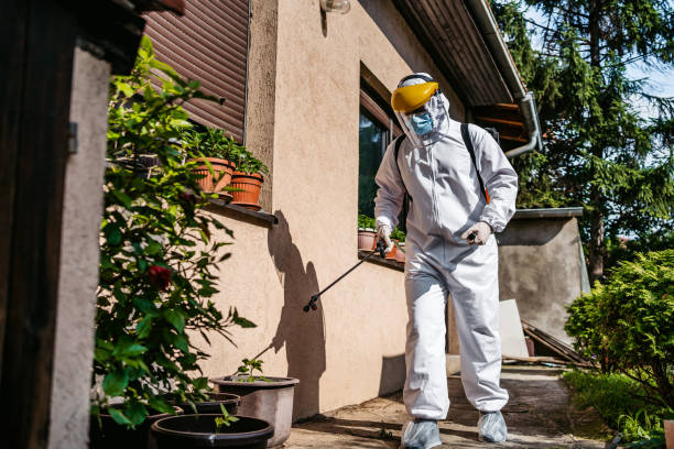 Best Rodent Control Near Me  in Decordova, TX