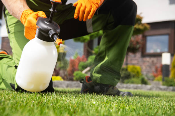 Pest Prevention Services in Decordova, TX