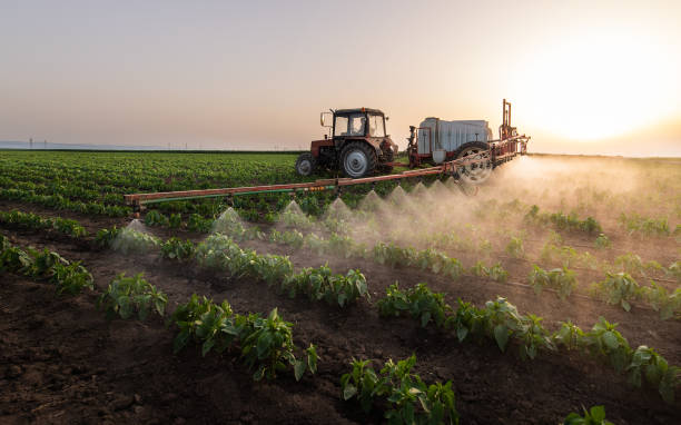 Best Mosquito Control Services  in Decordova, TX