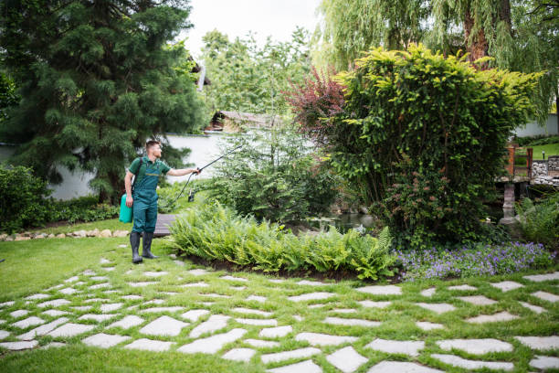 Best Ant Control Services  in Decordova, TX