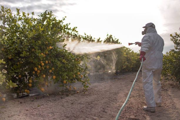 Professional Pest Control in Decordova, TX