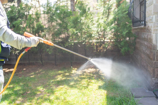 Best Residential Pest Control  in Decordova, TX