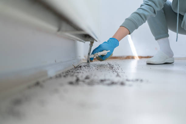 Best Affordable Pest Control Services  in Decordova, TX